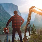 Lumberjack Dynasty (Steam)